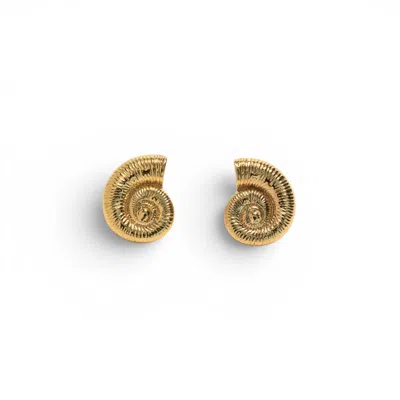 Miss Cecilia Women's Gold Seashell Earrings