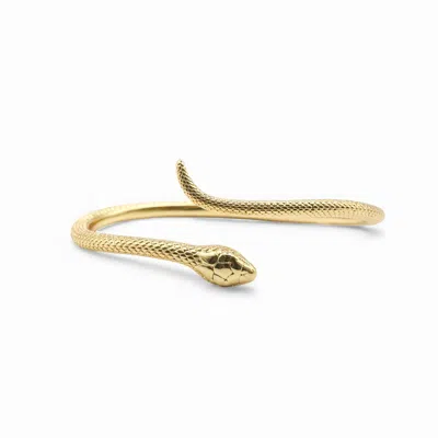Miss Cecilia Women's Gold The Serpent Bangle