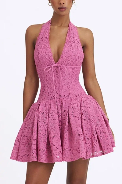 Miss Circle Karla Lace Drop Waist Halter Mini Dress In Pink