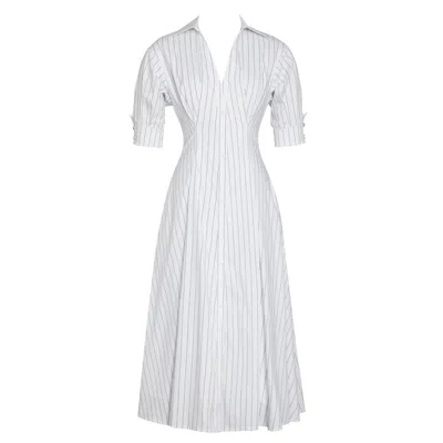 Miss Circle New York Women's Palina Pinstripes Cotton Poplin Pleated Midi Shirt Dress In Multi