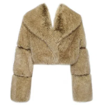 Miss Circle New York Women's Yadavi Brown Vegan Fur Cropped Jacket