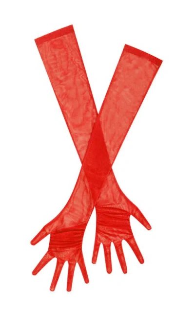 Miss Circle Qira Mesh Opera-length Gloves In White