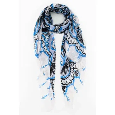 Miss Shorthair Ltd Miss Shorthair 2122blb Ornate Under The Sea Shell And Fish Print Scarf In Black & Light Blue In Red