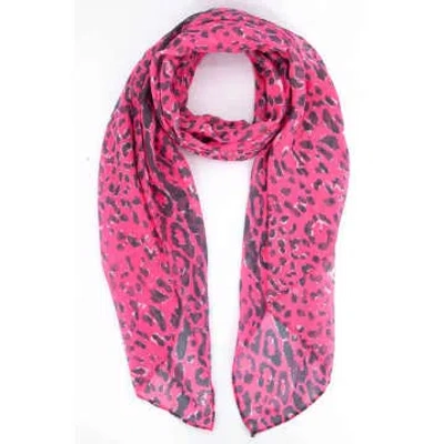 Miss Shorthair Ltd Miss Shorthair 2125hp All Over Leopard Print Scarf With Lined Border In Hot Pink In Red