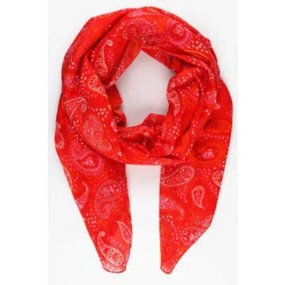 Miss Shorthair Paisley Print Cotton Scarf In Red