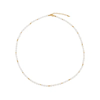 Missoma Seed Pearl 18kt Gold Vermeil Necklace In Metallic