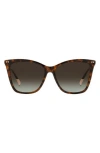 Missoni 54mm Cat Eye Sunglasses In Havana