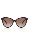 Missoni 54mm Gradient Cat Eye Sunglasses In Havana