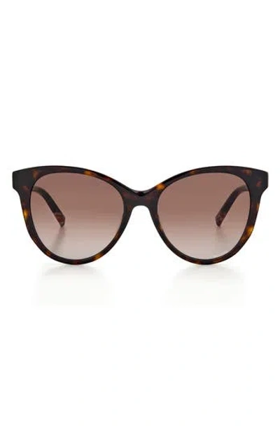 Missoni 54mm Gradient Cat Eye Sunglasses In Havana