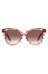 Missoni 54mm Gradient Cat Eye Sunglasses In Pink Horn