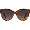 Missoni 57mm Gradient Cat Eye Sunglasses In Havana Violet