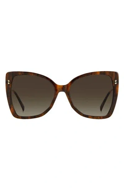 Missoni 58mm Gradient Cat Eye Sunglasses In Havana/brown Gradient