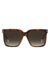 Missoni 60mm Gradient Square Sunglasses In Havana
