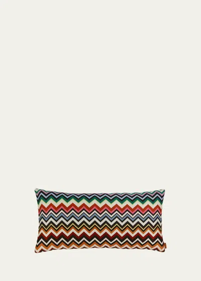 Missoni Belfast Zigzag Decorative Cushion In 100-multi