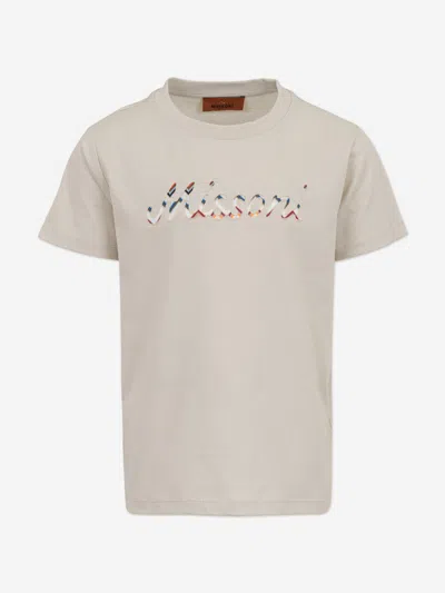 Missoni Babies'  Boys Logo T-shirt In Metallic