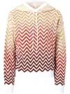 Missoni Chevron-knit Hoodie In Neutrals