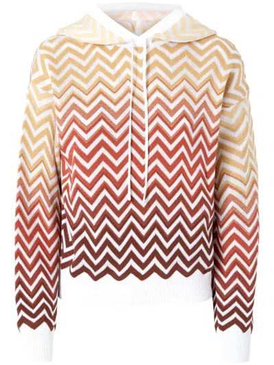 Missoni Chevron-knit Hoodie In Multicoloured