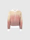 Missoni Chevron-knit Hoodie In Multicoloured