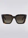 Missoni Dna Cat Eye Acetate Sunglasses In Multicoloured