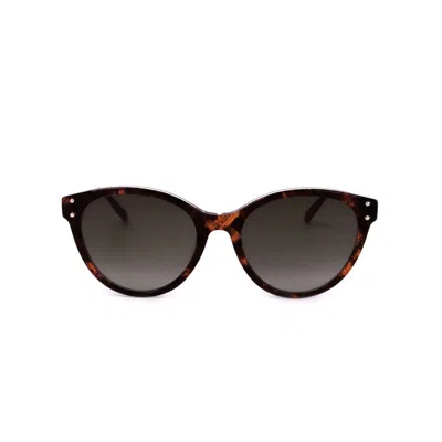Missoni Ladies Brown Cat Eye Sunglasses Mis 0026/s