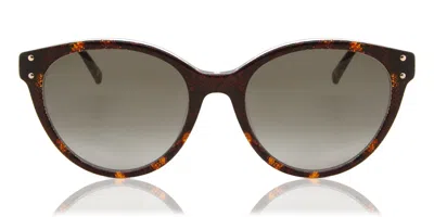 Missoni Mis 0026/s 086/ha Women's Sunglasses Tortoiseshell Size 53 In Pattern Tortoise
