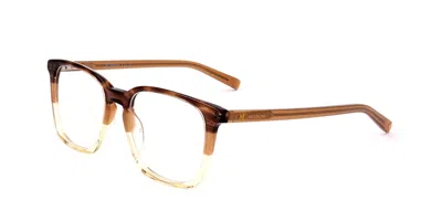 Missoni Mm 0042 Ex4 Women's Glasses Brown Size 50 - Free Lenses - Blue Light Block Available