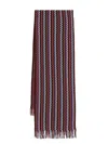 Missoni Zigzag Scarf In Brown