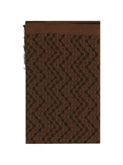 Missoni Zigzag Embroidered Scarf In Brown