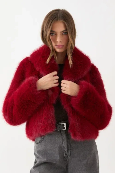 Misspap Faux Fur Cropped Collar Coat In Burgundy