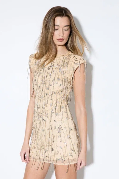 Misspap Premium Embellished Beaded Mini Dress In Neutral