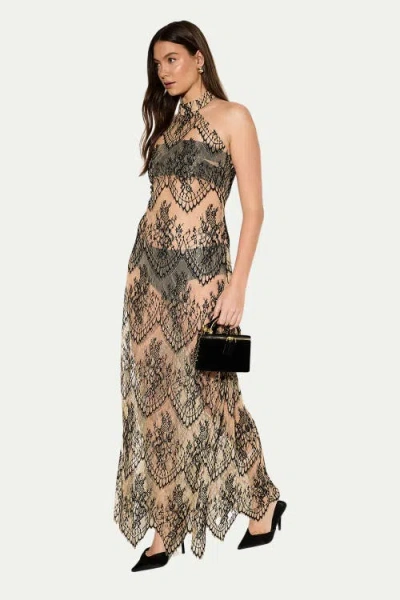 Misspap Premium Sheer Lace Maxi Dress In Brown