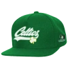 Mitchell & Ness Boston Celtics  Celtics Oversweep Snap Cap