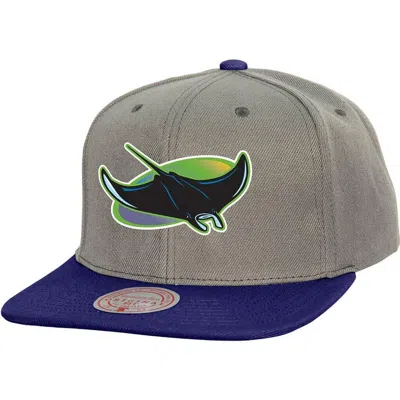 Mitchell & Ness Gray Tampa Bay Rays Cooperstown Collection Basic Flip Snapback Hat