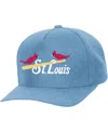 Mitchell & Ness Men's And Women's Blue St. Louis Cardinals Basic Coop Pro Adjustable Hat