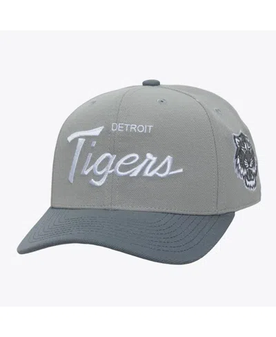 Mitchell & Ness Men's Gray Detroit Tigers Thunderstorm Head Coach Pro-crown Adjustable Hat