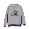 Mitchell & Ness Men's Hoodie Ncaa Pinnacle Heavyweight Fleece Hoodie Loutig Purple/yellow In Purple/yellow