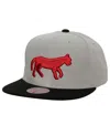 Mitchell & Ness Men's  Gray Detroit Tigers Cooperstown Collection Away Snapback Hat In Gray