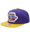 Mitchell & Ness Men's  Purple, Gold Los Angeles Lakers Hardwood Classics 1987/88 Back-to-back Nba Cha In Purple,gold
