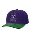 Mitchell & Ness Men's Purple/green Milwaukee Bucks May Flowers Adjustable Hat In Multi