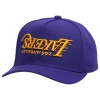 Mitchell & Ness Mens Los Angeles Lakers  Lakers Upside Prosnap Cap In Purple/purple