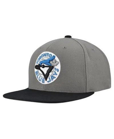 Mitchell & Ness Mitchell Ness Men's Gray Toronto Blue Jays Cooperstown Collection Basic Flip Snapback Hat
