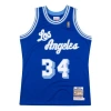 Mitchell & Ness Nba Au 96-97 34 In Blue