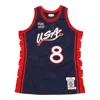 Mitchell & Ness Team Usa 1996-97 Jerseys 'scottie Pippen 8' In Multi
