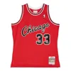 Mitchell & Ness Nba Ss22 Sw 03-04 33 In Red