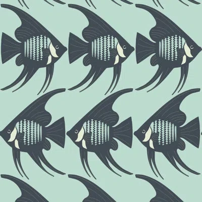 Mitchell Black Angel Fish - Turquoise Wallpaper In Blue