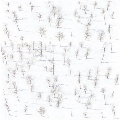 Mitchell Black Birch Trees 10' L X 24" W Wallpaper Roll In White,blue,brown