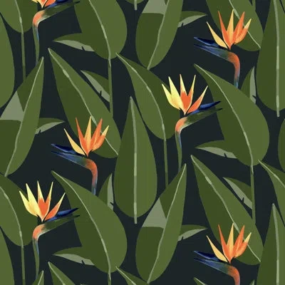 Mitchell Black Birds Of Paradise - Black Wallpaper In Black;green