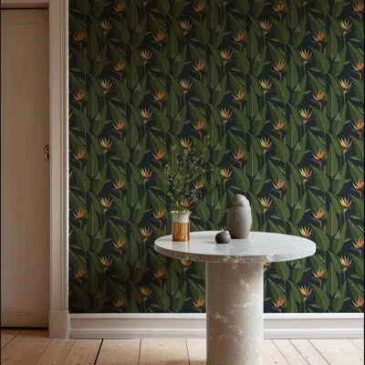 Mitchell Black Birds Of Paradise - Black Wallpaper In Green