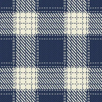 Mitchell Black Campers Plaid In Blue