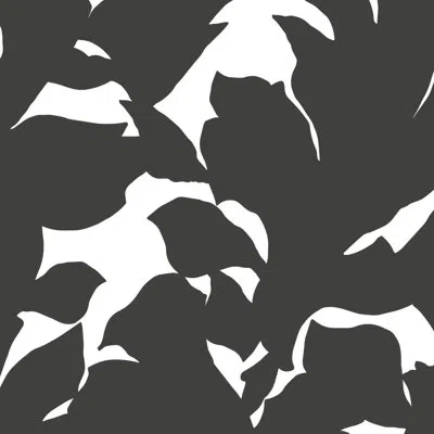 Mitchell Black Mrs Paranjape Papers Holly 10' L X 24" W Wallpaper Roll In Jet Black